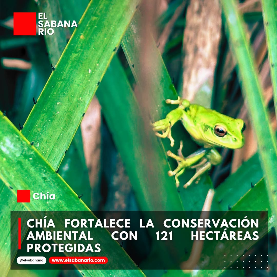 Chía fortalece la conservación ambiental con 121 hectáreas protegidas